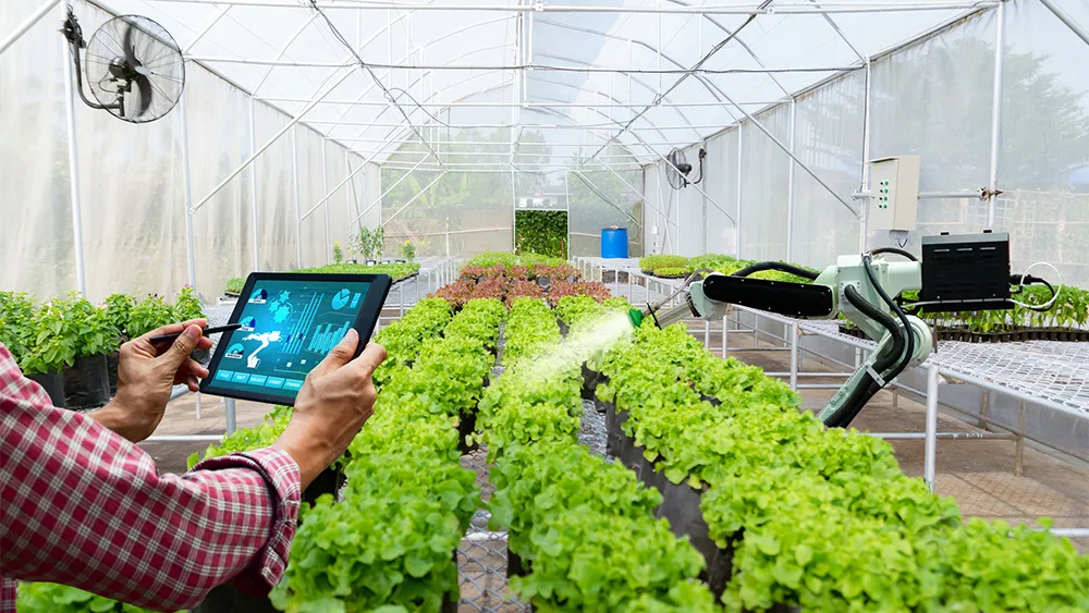 https://pertanian.sultengprov.go.id/pertanian-modern-dengan-smart-farming